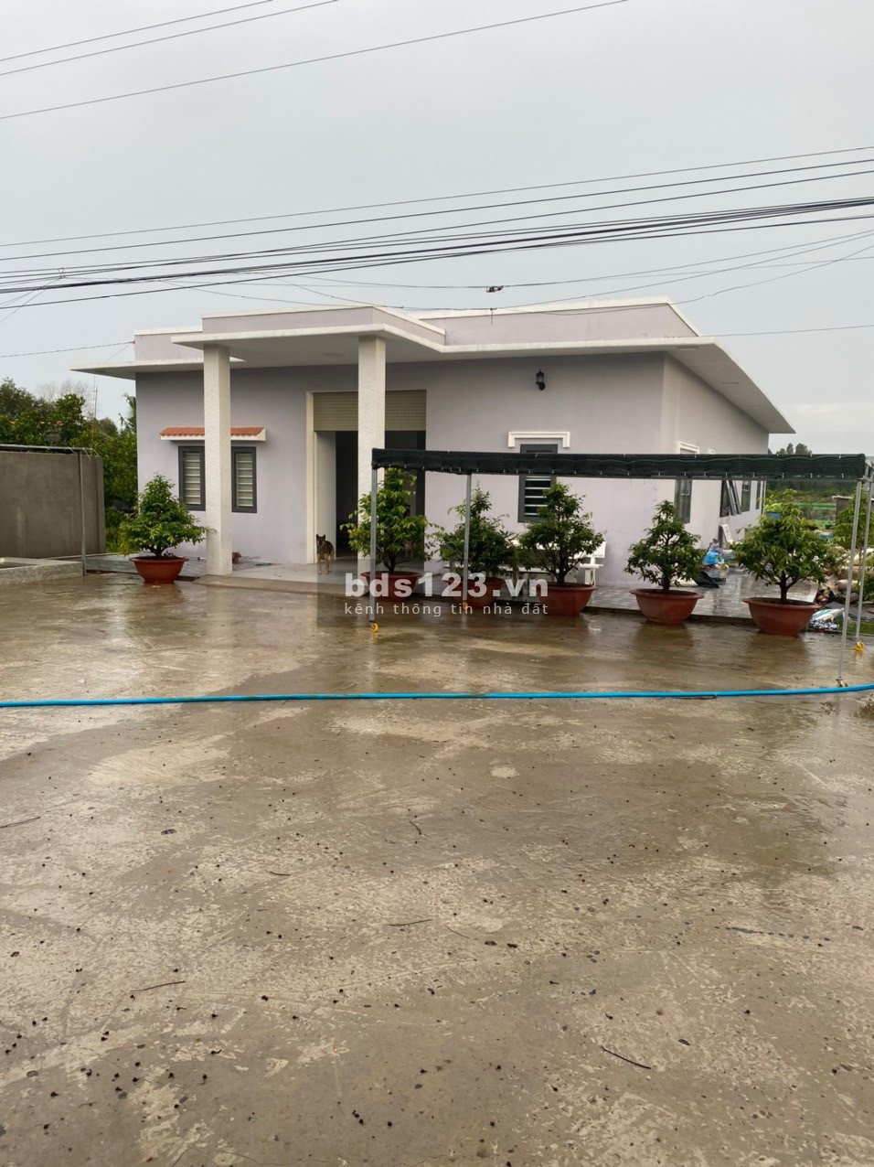 Chính chủ bán nhà đất diện tích 8800m2 nằm trên đường huyện lộ 40 xe hơi chạy đến đất