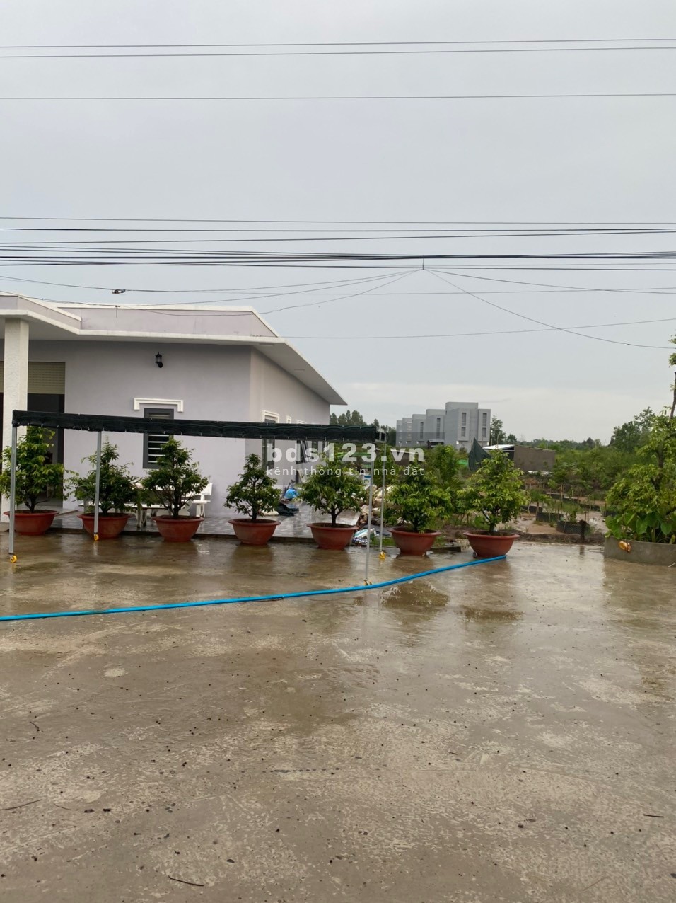Chính chủ bán nhà đất diện tích 8800m2 nằm trên đường huyện lộ 40 xe hơi chạy đến đất
