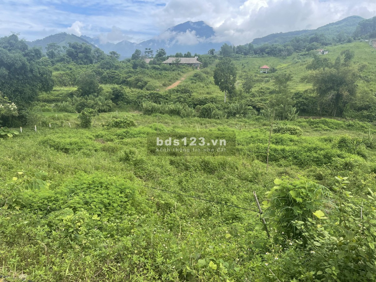 Chính chủ gửi bán đất Thịnh Minh thành phố Hoà Bình, diện tích 17.68m2, thổ cư 400m2