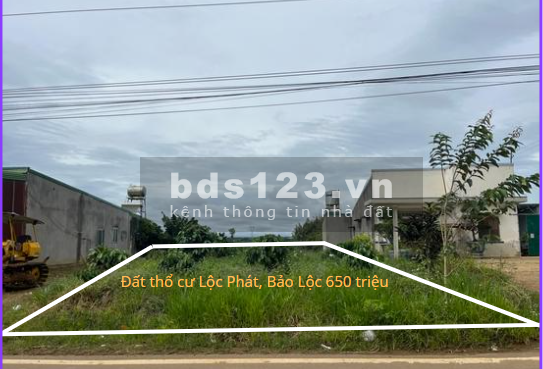 Bán nhanh lô đất cạnh Violet Homestay cực đẹp tại Bảo Lộc, 650 triệu, có thương lượng cao