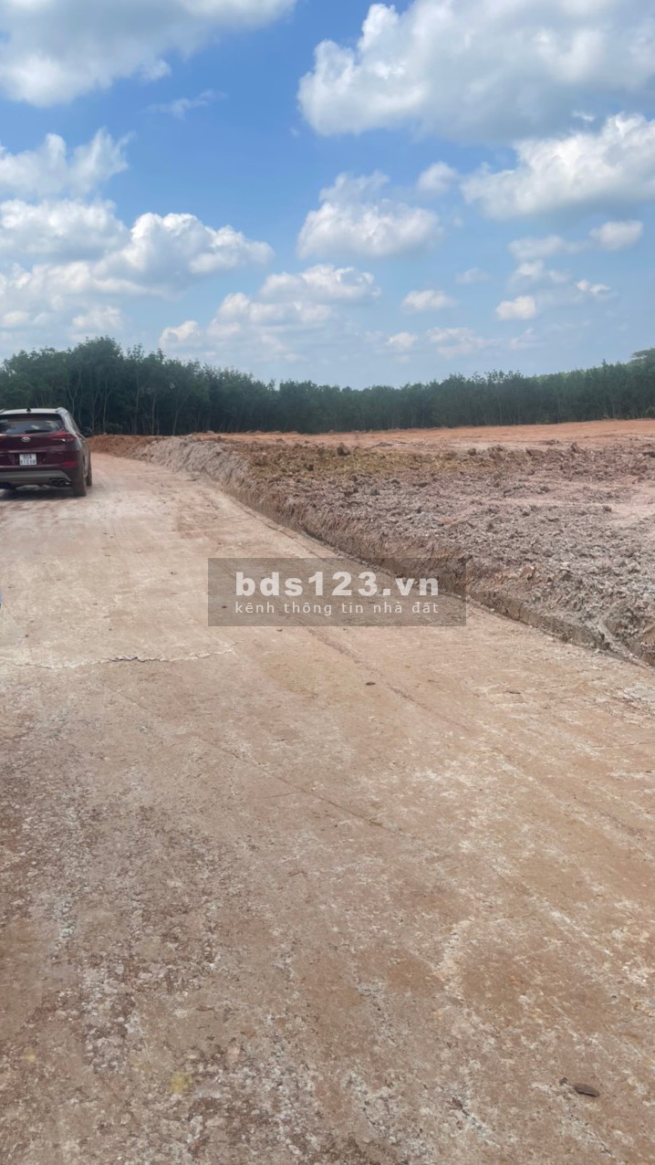Cơ hội đầu tư sở hữu ngay diện tích sử dụng 1000m2 đất sào chỉ với 300tr