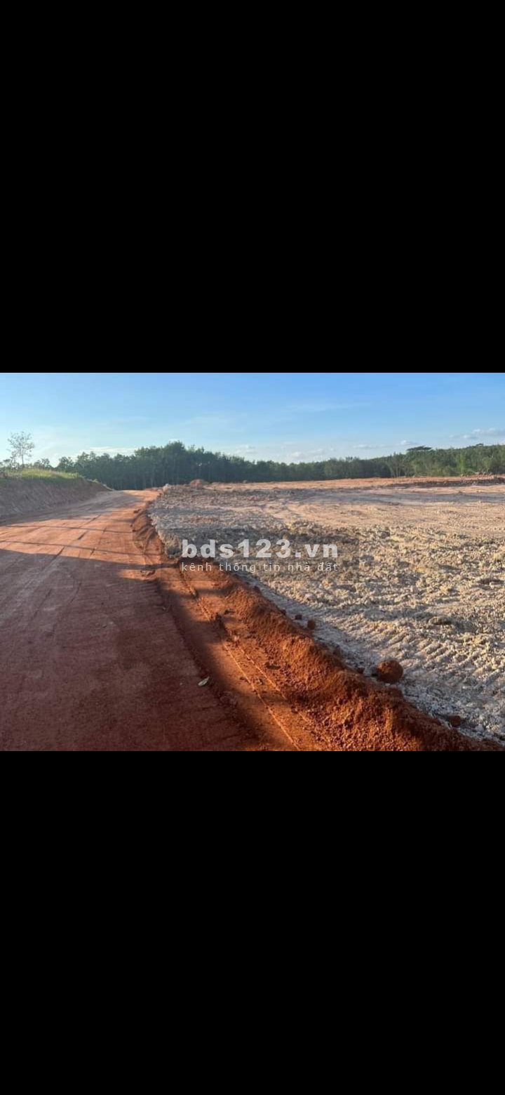Cơ hội đầu tư sở hữu ngay diện tích sử dụng 1000m2 đất sào chỉ với 300tr
