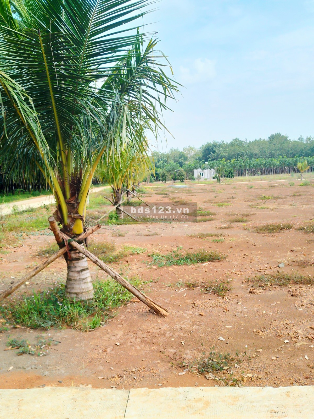 E có 2 lô MB Tân Khai - Hớn Quản 700 triệu. DT 250m2 (100m thổ cư) giá 720Tr