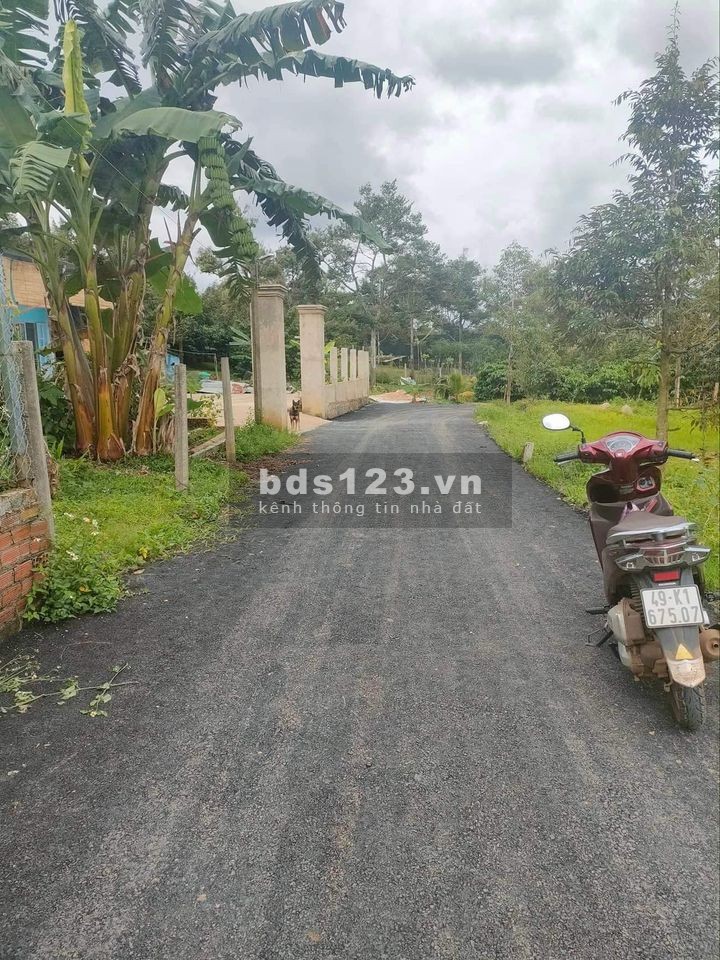 Kẹt tiền ngân hàng bán lỗ lô đất Bảo Lộc, 2 mặt tiền 480 triệu