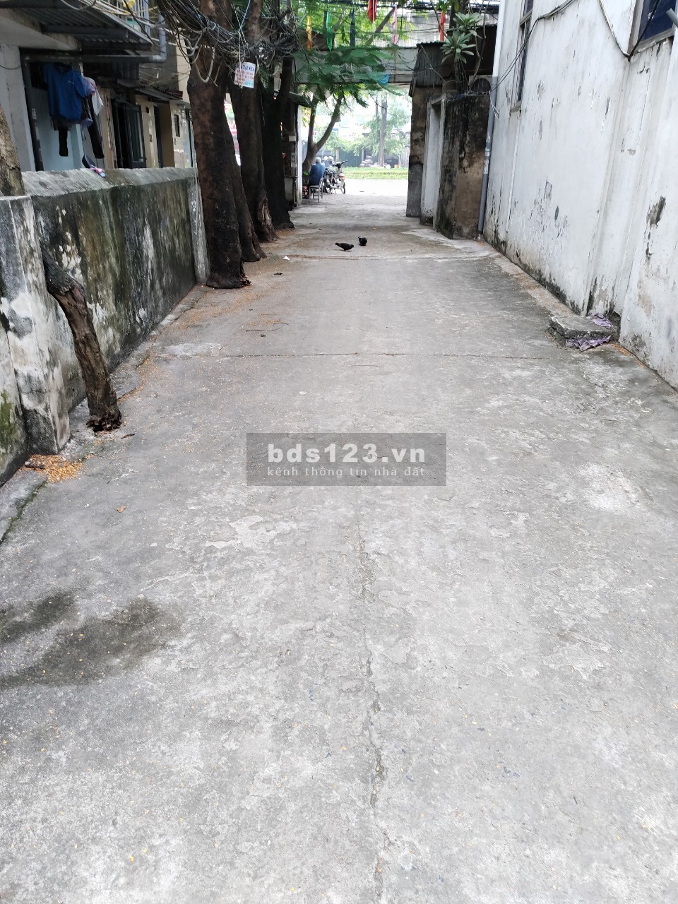 Tuyệt đỉnh an sinh nhà Cổ Nhuế diện tích 61m2, giá bán 4.3 tỷ lh 0966481171