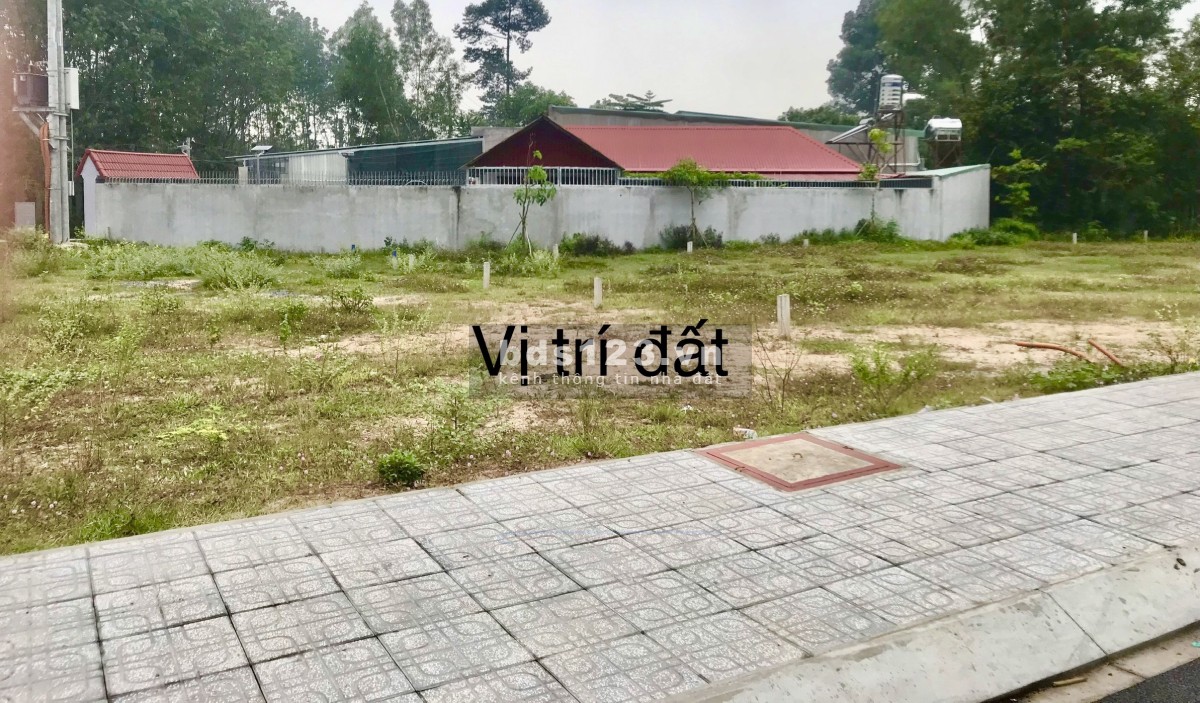 Bán đất nền khu dân cư Nguyễn Văn Khạ, Tân An Hội, Củ Chi, giá tốt