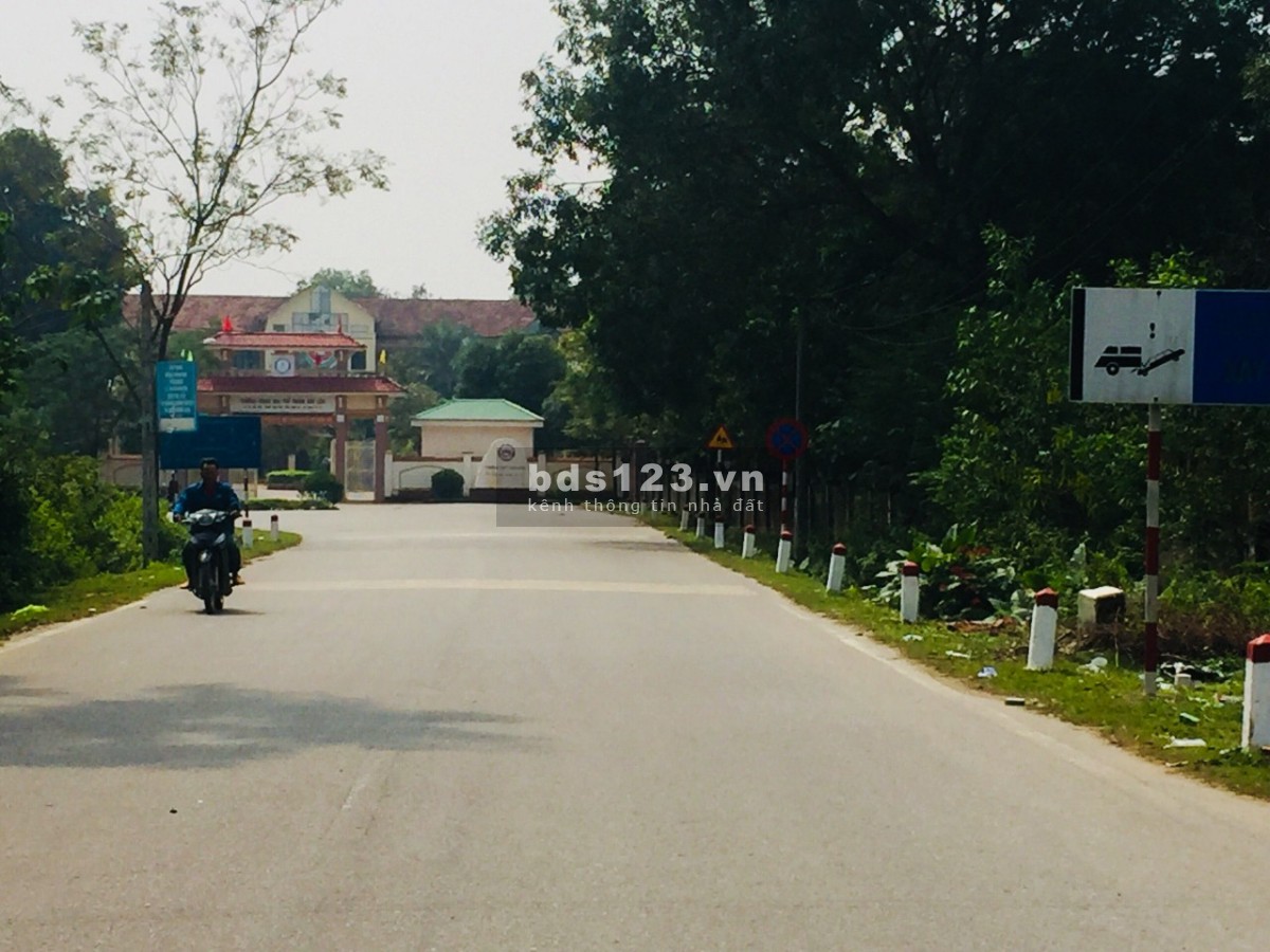Bán Đất Giá Sốc, Đất Quy Hoạch Khu Dân Cư Mới Tại Xã Kim Liên, Tỉnh Nghệ An