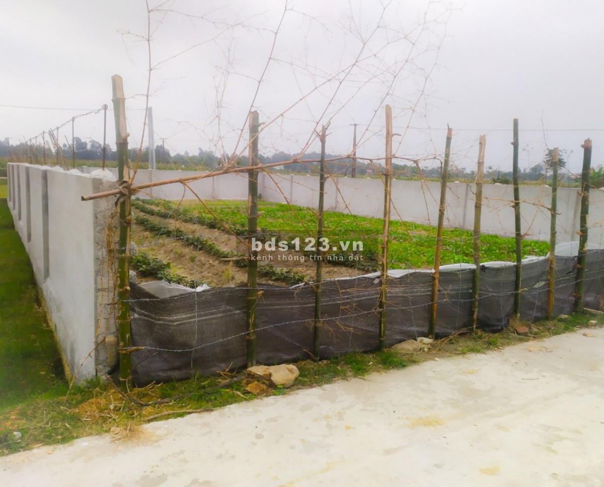 Bán Đất Giá Sốc, Đất Quy Hoạch Khu Dân Cư Mới Tại Xã Kim Liên, Tỉnh Nghệ An