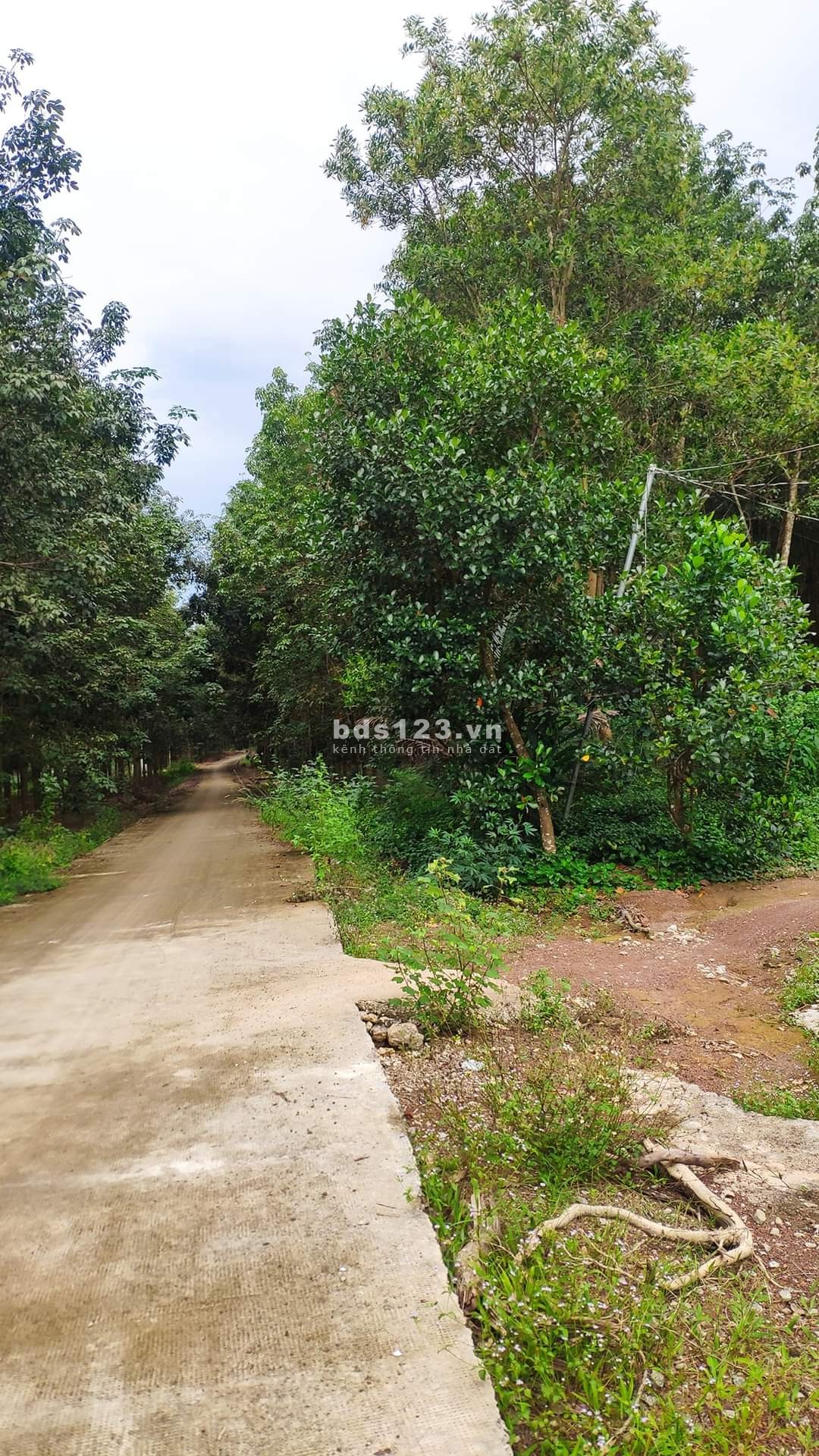 Chính chủ ngộp thở cần bán gấp lô đất Tiến Hưng, Bình Phước, gần KDC Bắc Đồng Phú