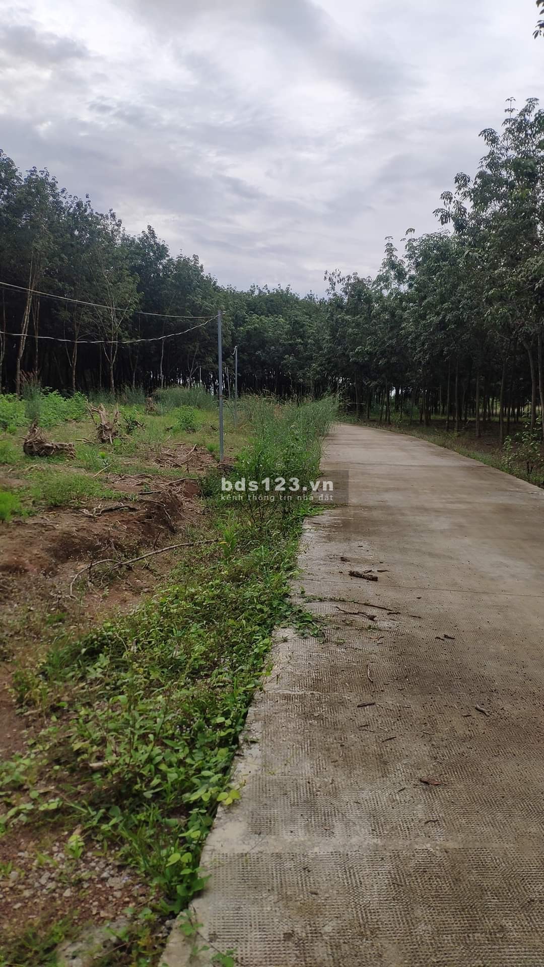 Chính chủ ngộp thở cần bán gấp lô đất Tiến Hưng, Bình Phước, gần KDC Bắc Đồng Phú