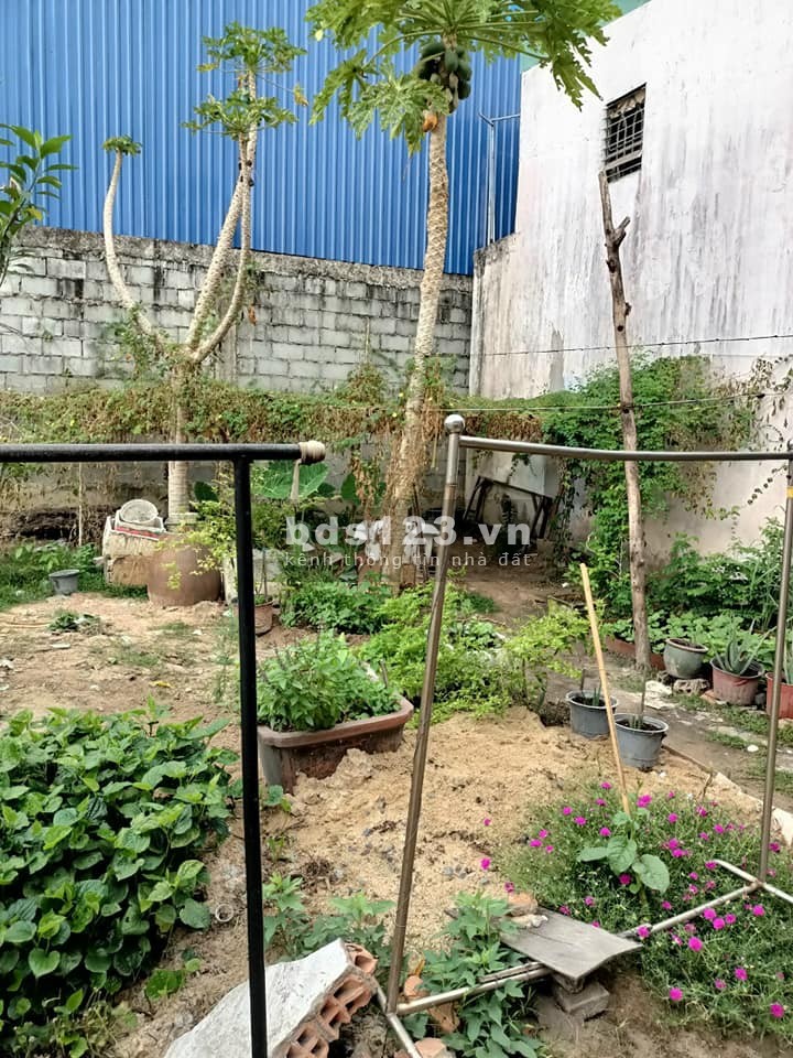 Chính chủ cần bán đất thổ cư sồ hồng riêng gần chợ khu dân cư