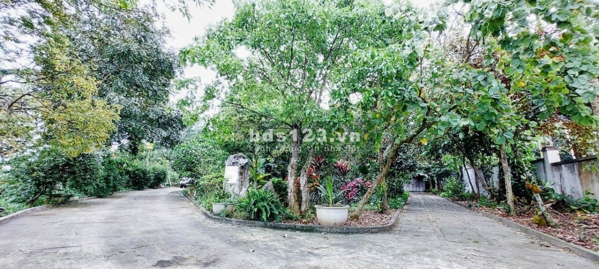 Cần bán gấp biệt thự ở Việt Trì, tỉnh Phú Thọ với tổng diện tích 3.300m² giá tốt