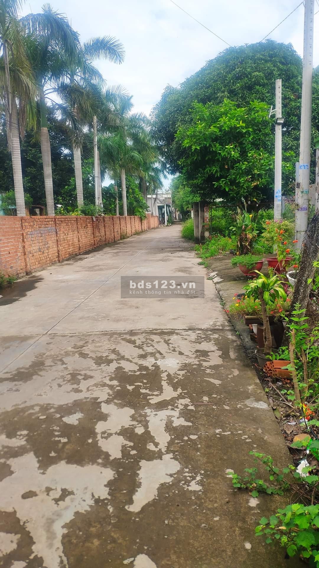Chính chủ cần bán gấp lô đất có nhà cấp bốn trên đất, Vĩnh Hòa, Phú Giáo, Bình Dương