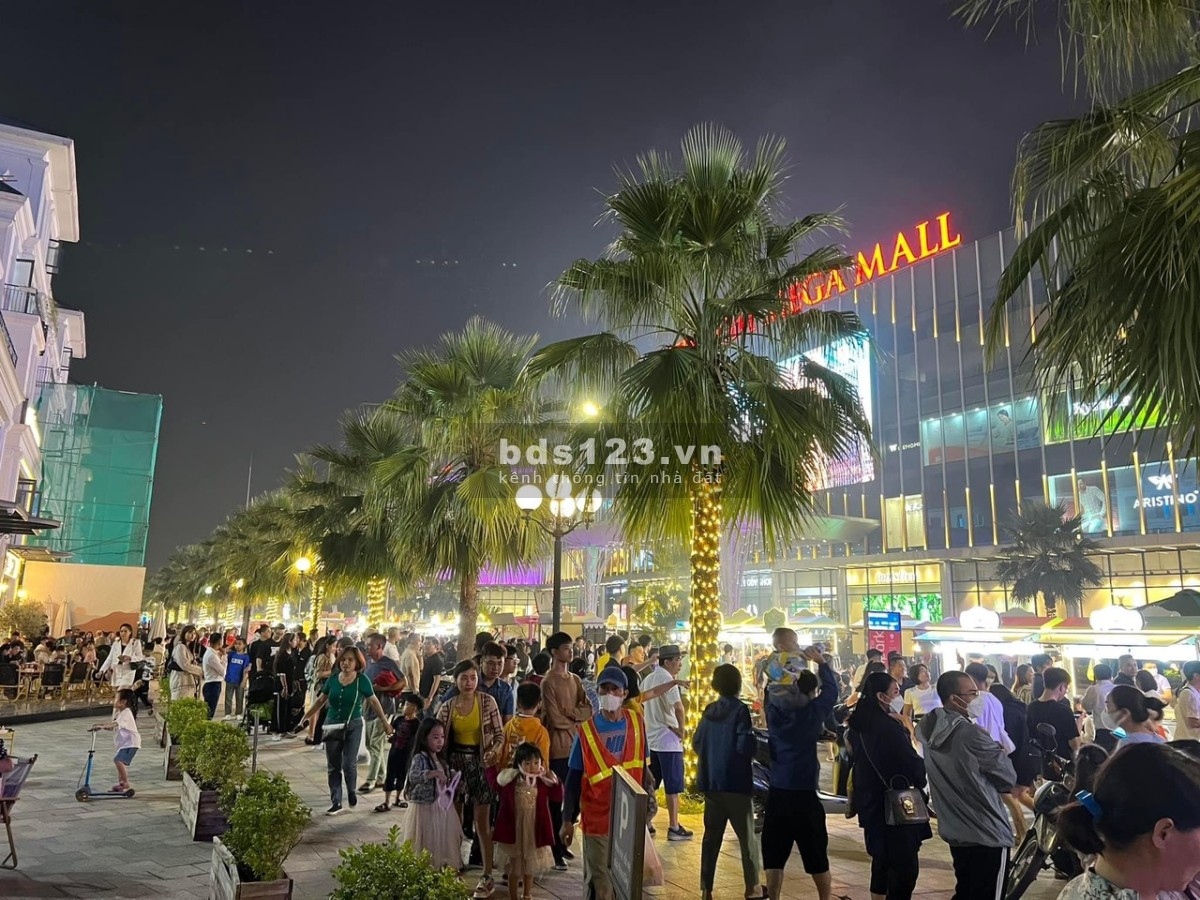 Quỹ căn cho thuê đa dạng phù hợp với mọi ngành nghề Vinhomes Ocean Park Gia Lâm 10tr/tháng