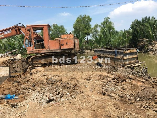 Đất trồng cây xã an thới đông huyện cần giờ sổ hồng riêng