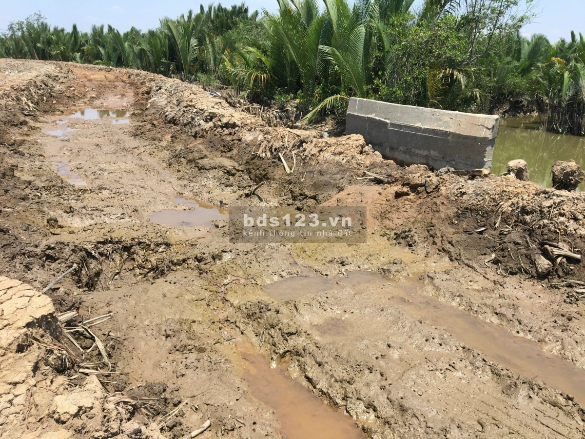 Đất trồng cây xã an thới đông huyện cần giờ sổ hồng riêng