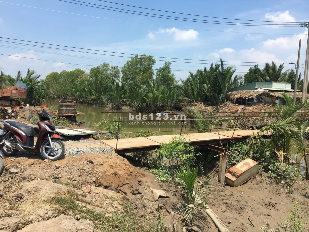 Đất trồng cây xã an thới đông huyện cần giờ sổ hồng riêng