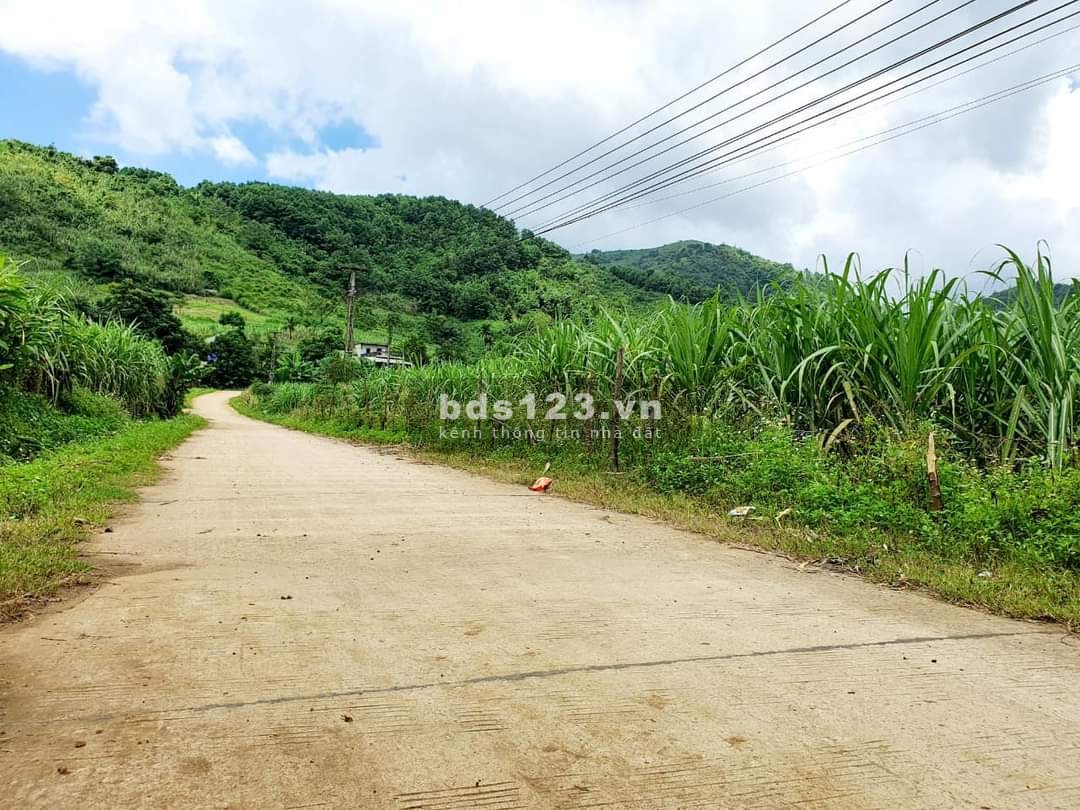 BÁN ĐẤT XÃ TÂN PHONG HÒA BÌNH S1000M2 GIÁ CHỈ 5,6 TRIỆU/M2.