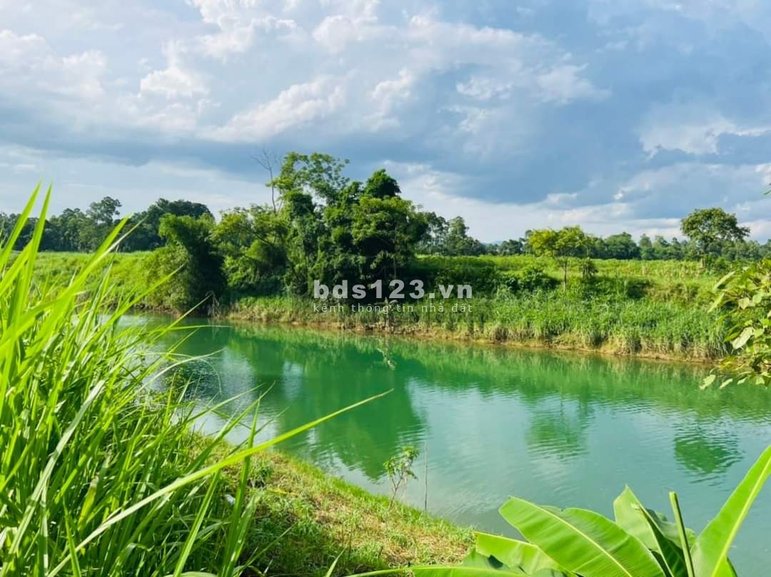 Bán đất xã Hợp Phong Hoà Bình diện tích 689m2 giá chỉ 6.5 triệu/m2