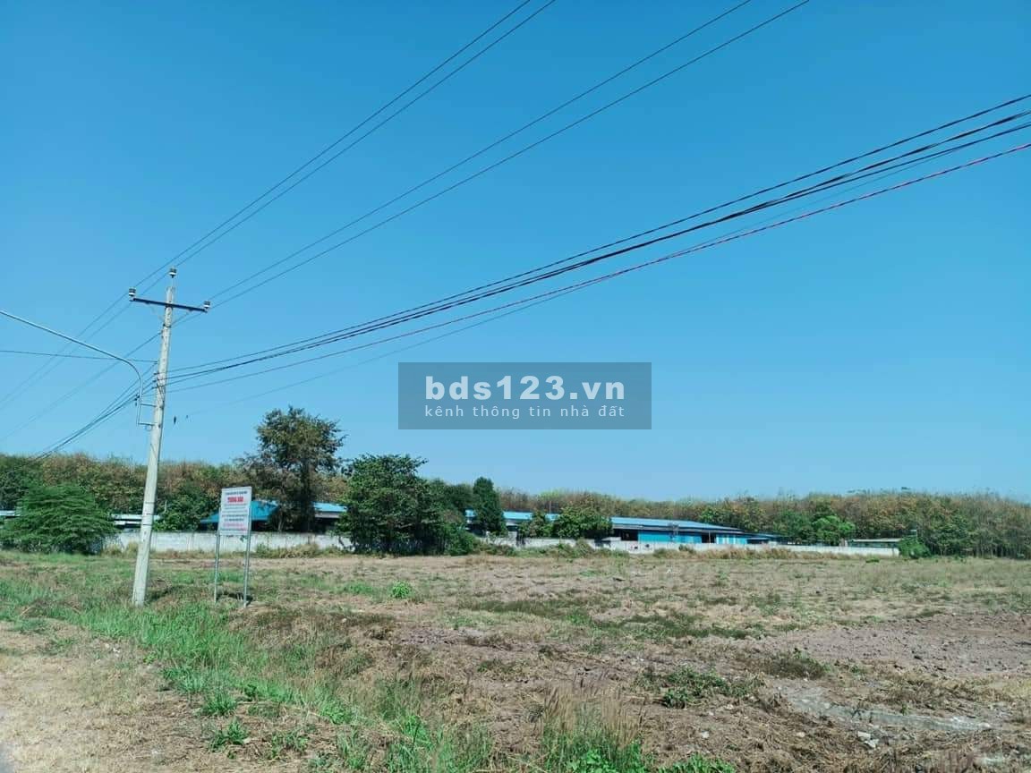 Đất nền sổ sẵn Chơn Thành, Bình Phước, pháp lý rõ ràng minh bạch