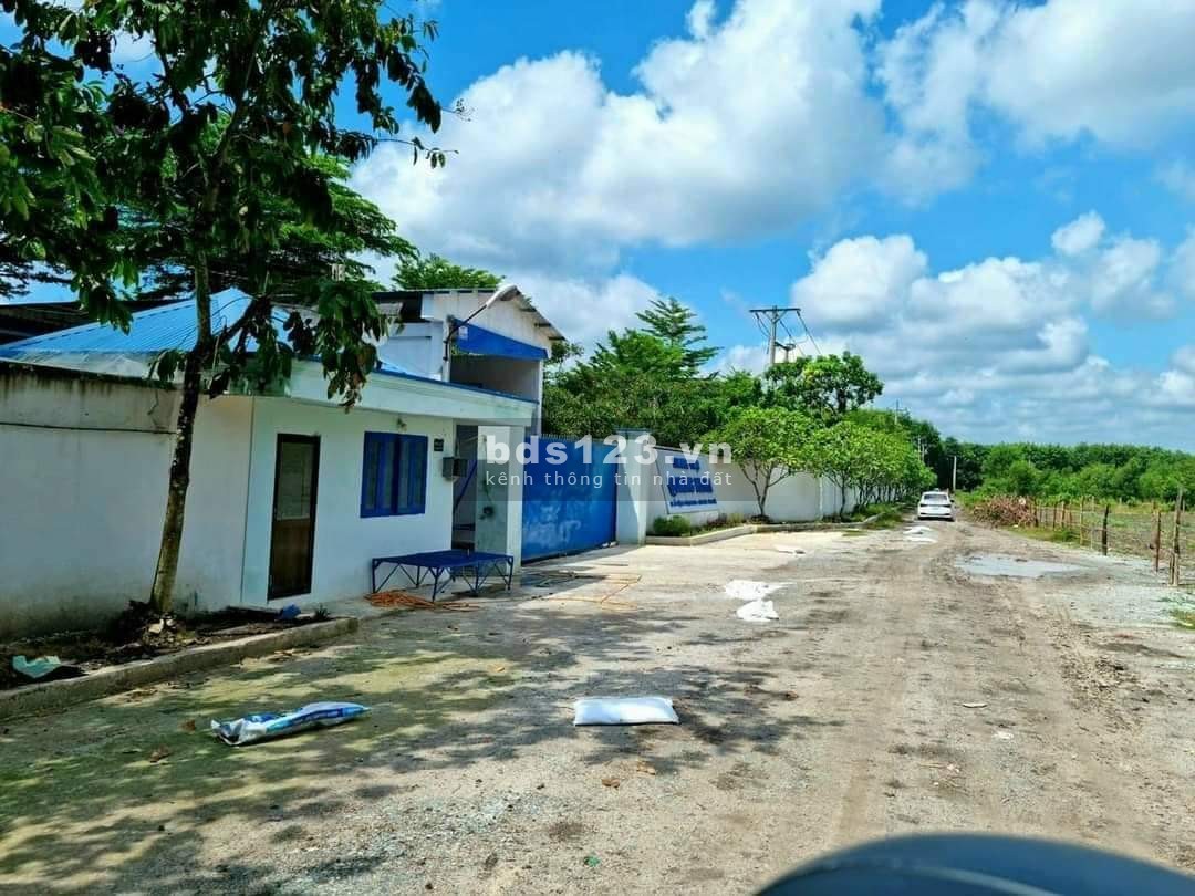 Đất nền sổ sẵn Chơn Thành, Bình Phước, pháp lý rõ ràng minh bạch