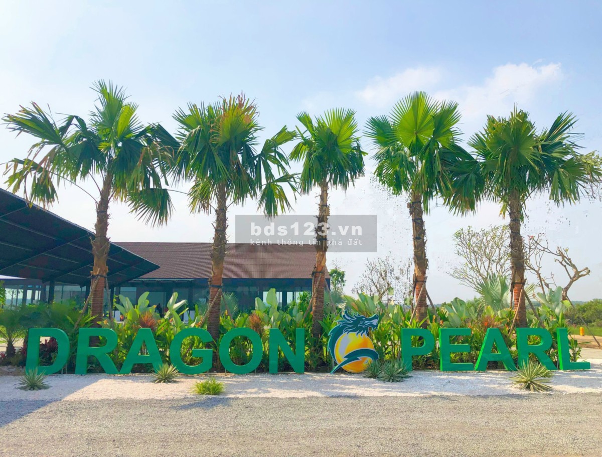 Dragon Pearl chính thức mở bán giai đoạn ba, phân khu đẹp nhất dự án chỉ 50tr là có ngay vị trí đẹp