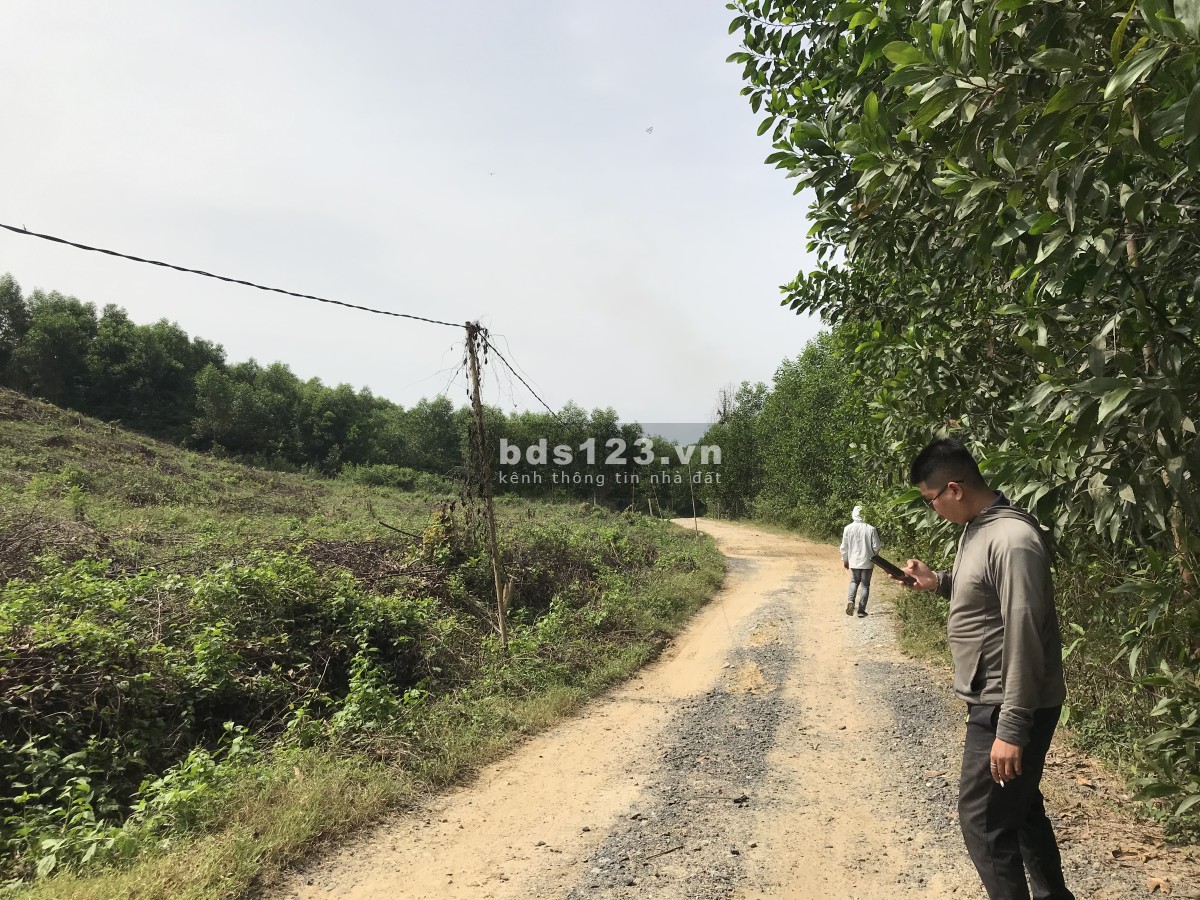 Bán 3 lô đất vườn liền kề xã Diên Lâm, huyện Diên Khanh, Khánh Hoà giá đầu tư tốt