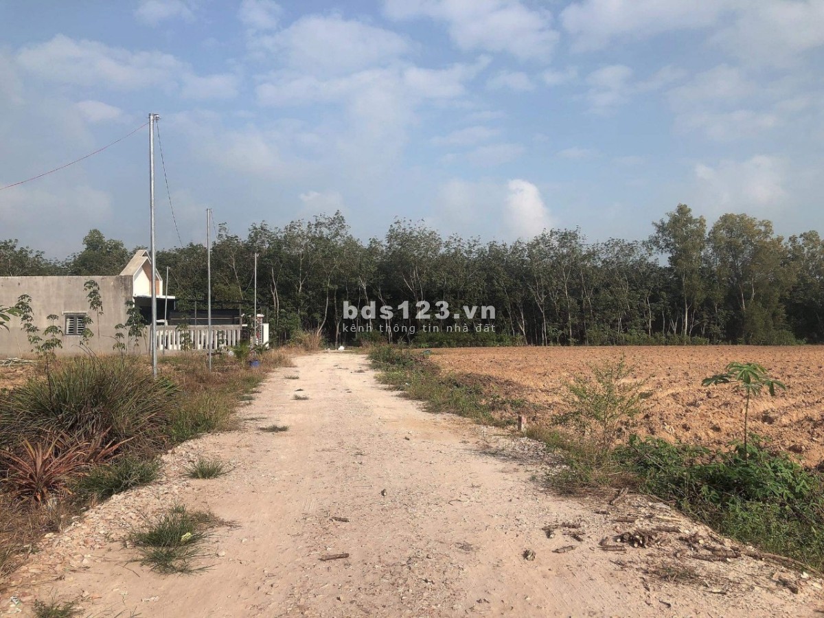 Chủ cần bán lỗ lô đất xào Minh Thạnh - Dầu Tiếng cách nhựa 200m