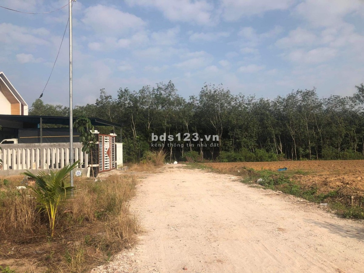 Chủ cần bán lỗ lô đất xào Minh Thạnh - Dầu Tiếng cách nhựa 200m