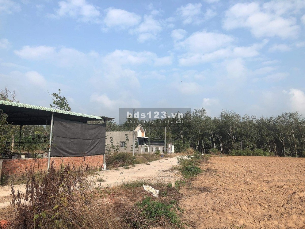 Chủ cần bán lỗ lô đất xào Minh Thạnh - Dầu Tiếng cách nhựa 200m