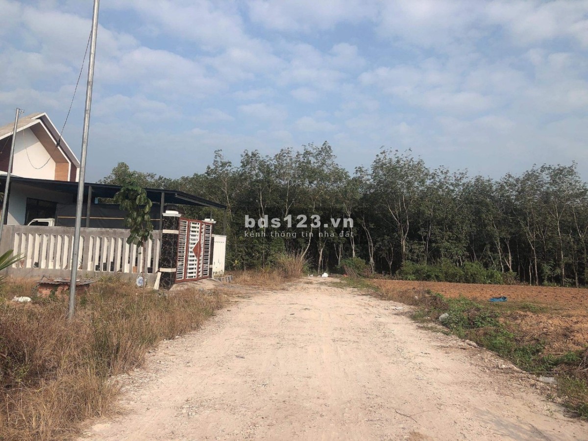 Chủ cần bán lỗ lô đất xào Minh Thạnh - Dầu Tiếng cách nhựa 200m