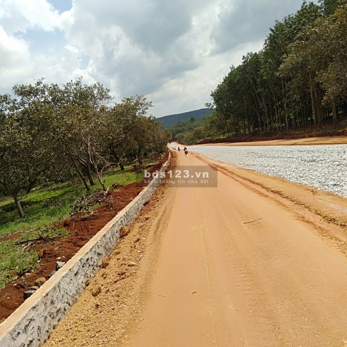 Chính chủ cần bán lô đất sào diện tích 1000m2 sau chợ Tân Phước
