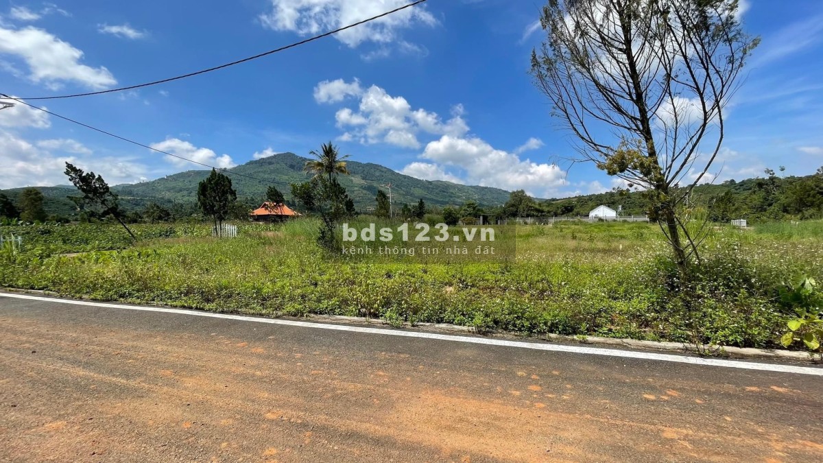 400m2 nền đất vuông vức full thổ ở Bảo Lộc, đất nghỉ dưỡng 885 triệu, sổ sẵn sang tên ngay