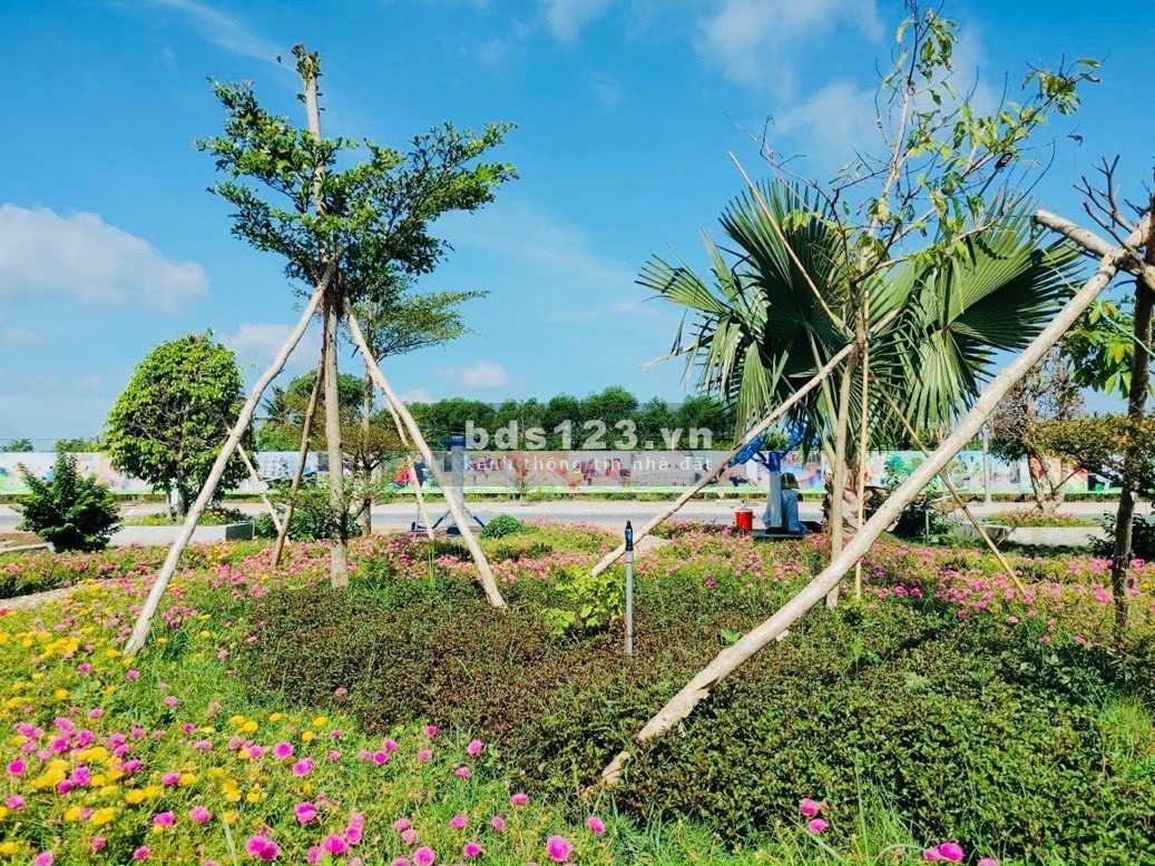 Lô đất không dính quy hoạch giá F0 chủ đầu tư vị trí gần trung tâm hành chính Bình Chánh