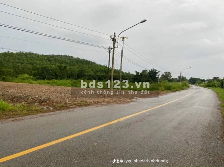Bán gấp đất mặt tiền đường DT746, xã Bình Mỹ, Bắc Tân Uyên