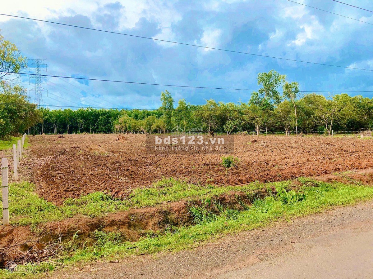 Bán đất thổ cư 4.000m2 giá 4.80 triệu, sổ hồng riêng, full thổ cư, dân cư đông, gần trường, chợ