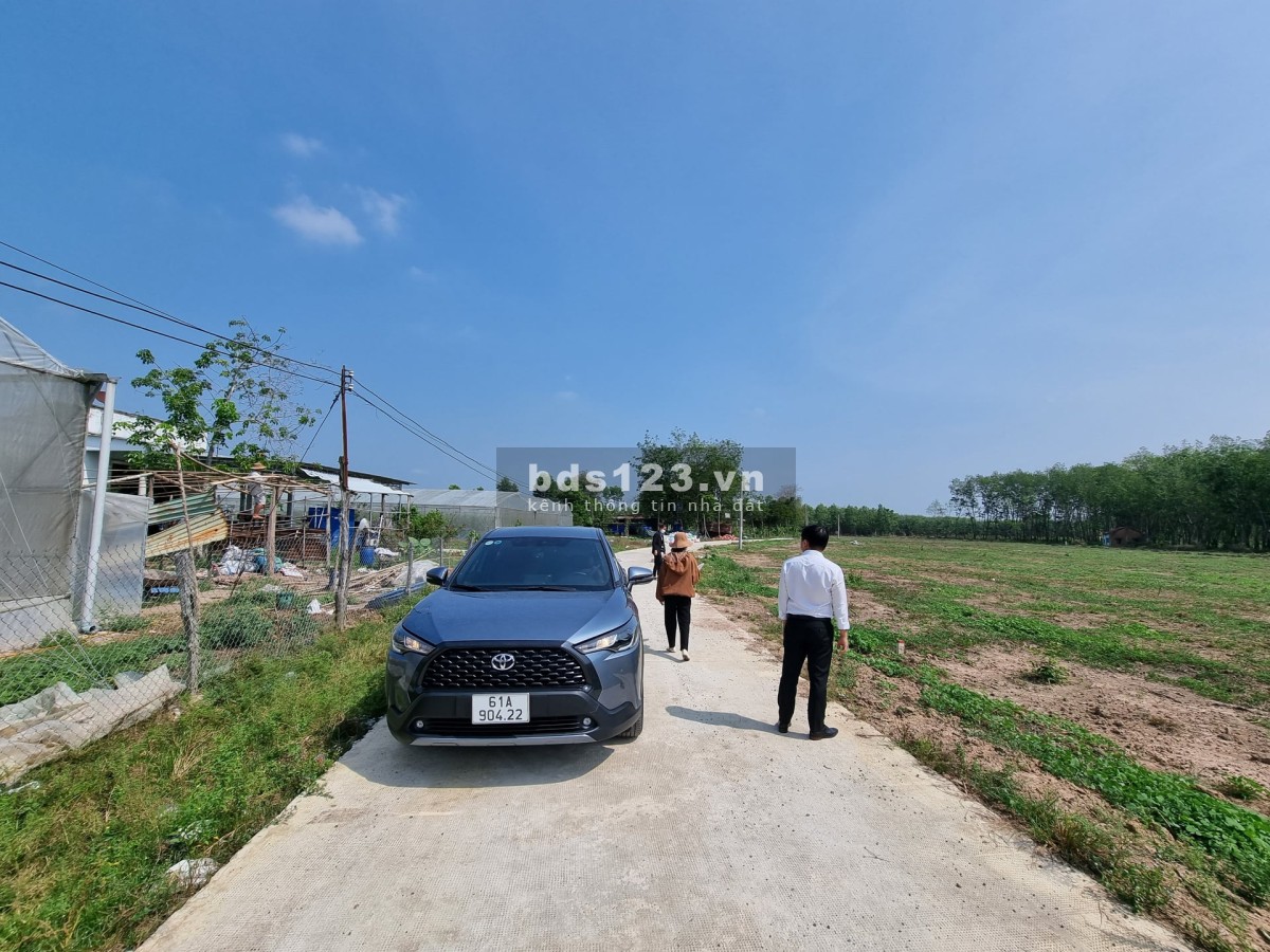 Vị trí ngay trung tâm KCN Tân quan, chính chủ cần ra gấp, giá đầu tư chạm đáy