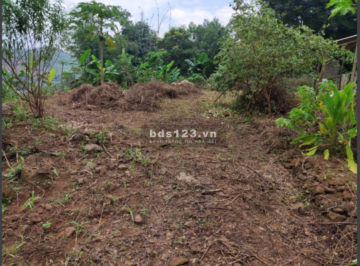 Bán đất Cao Phong, Hòa Bình diện tích 1374m2 bao sang tên