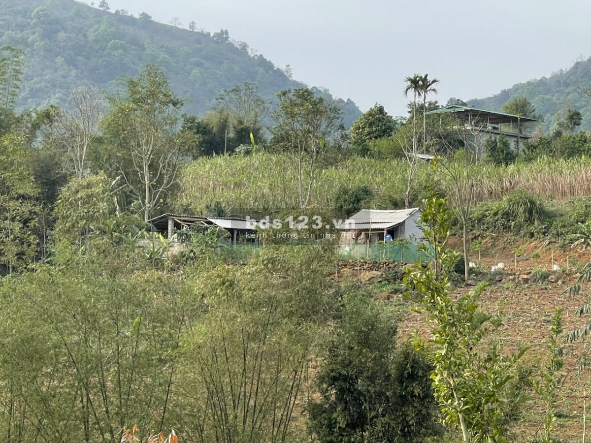 Bán đất Cao Phong, Hòa Bình diện tích 1374m2 bao sang tên