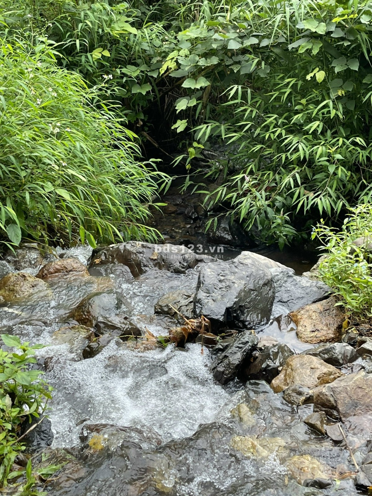 Bán đất Cao Phong, Hòa Bình diện tích 1374m2 bao sang tên
