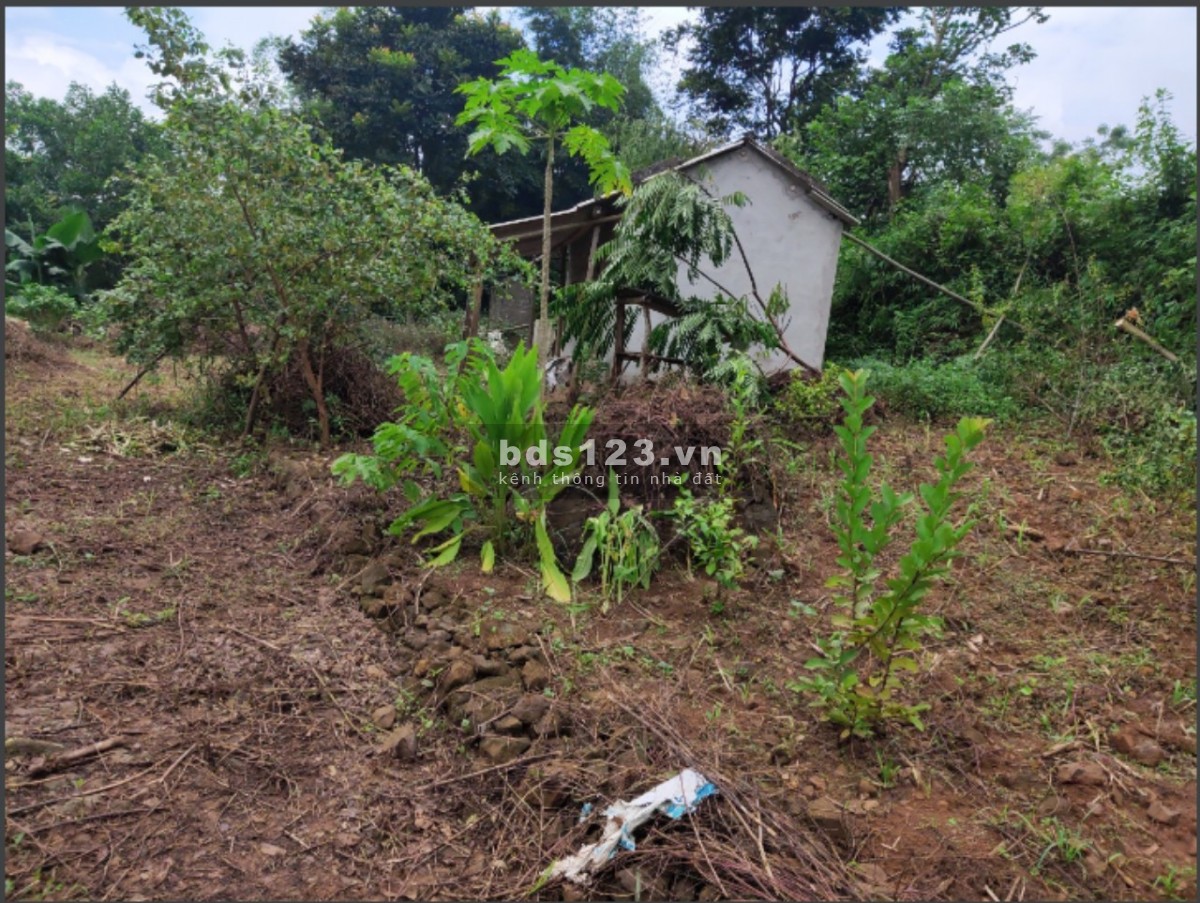 Bán đất Cao Phong, Hòa Bình diện tích 1374m2 bao sang tên