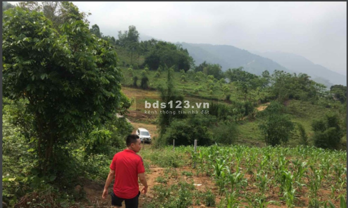 Bán đất Cao Phong, Hòa Bình diện tích 1374m2 bao sang tên