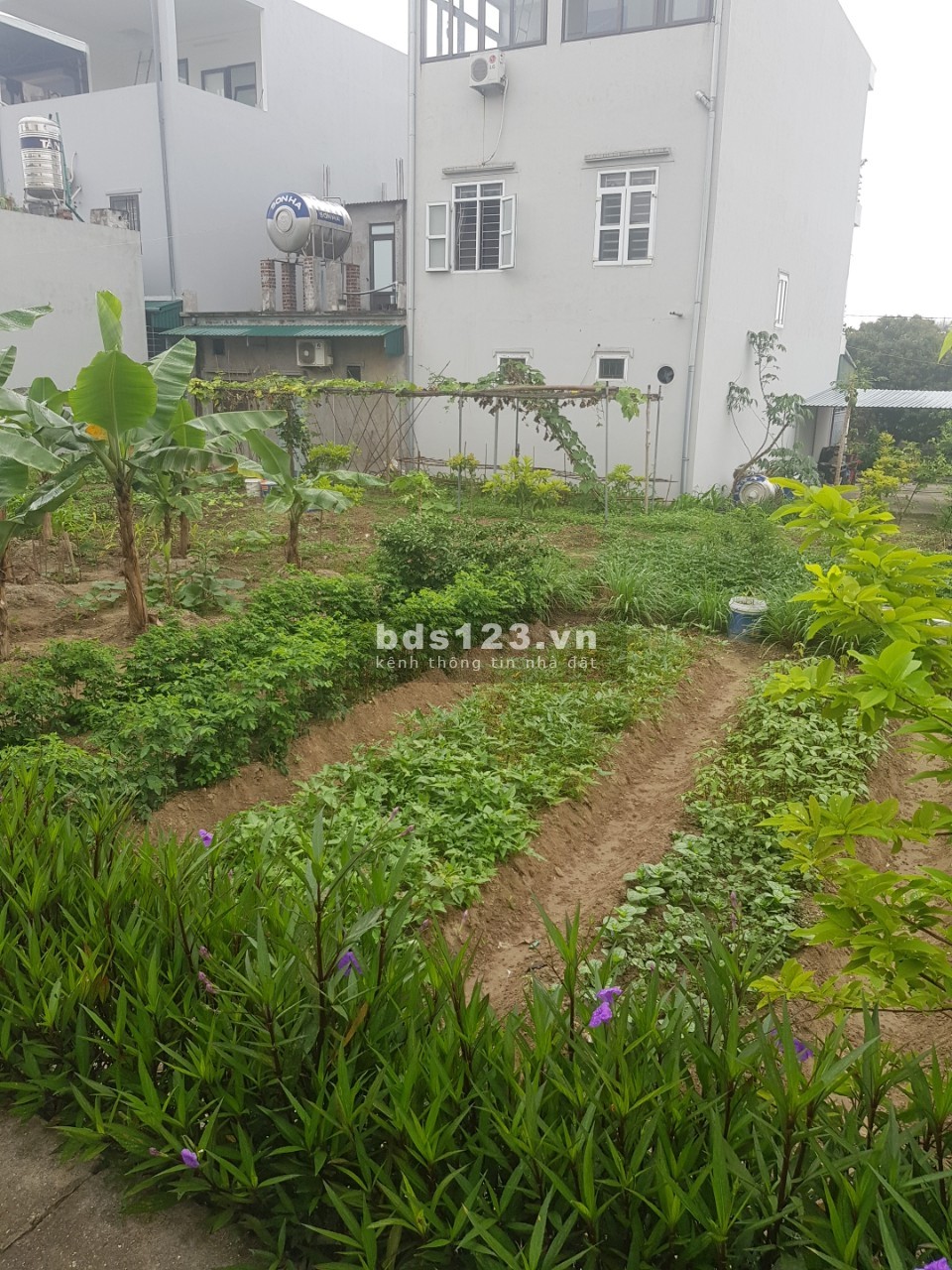 Bán nhanh lô đất thuộc phân khu quân đội Vân Đồn, Quảng Ninh giá thỏa thuận
