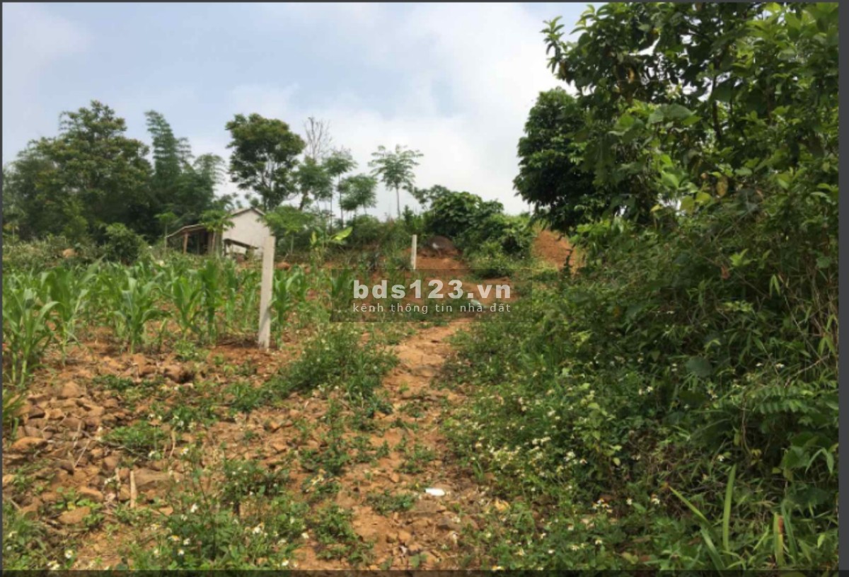 Bán đất Cao Phong, Hòa Bình diện tích 1374m2 bao sang tên