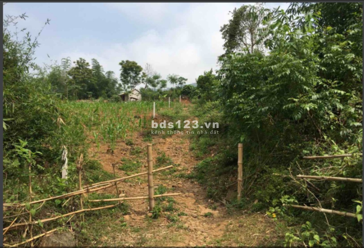 Bán đất Cao Phong, Hòa Bình diện tích 1374m2 bao sang tên