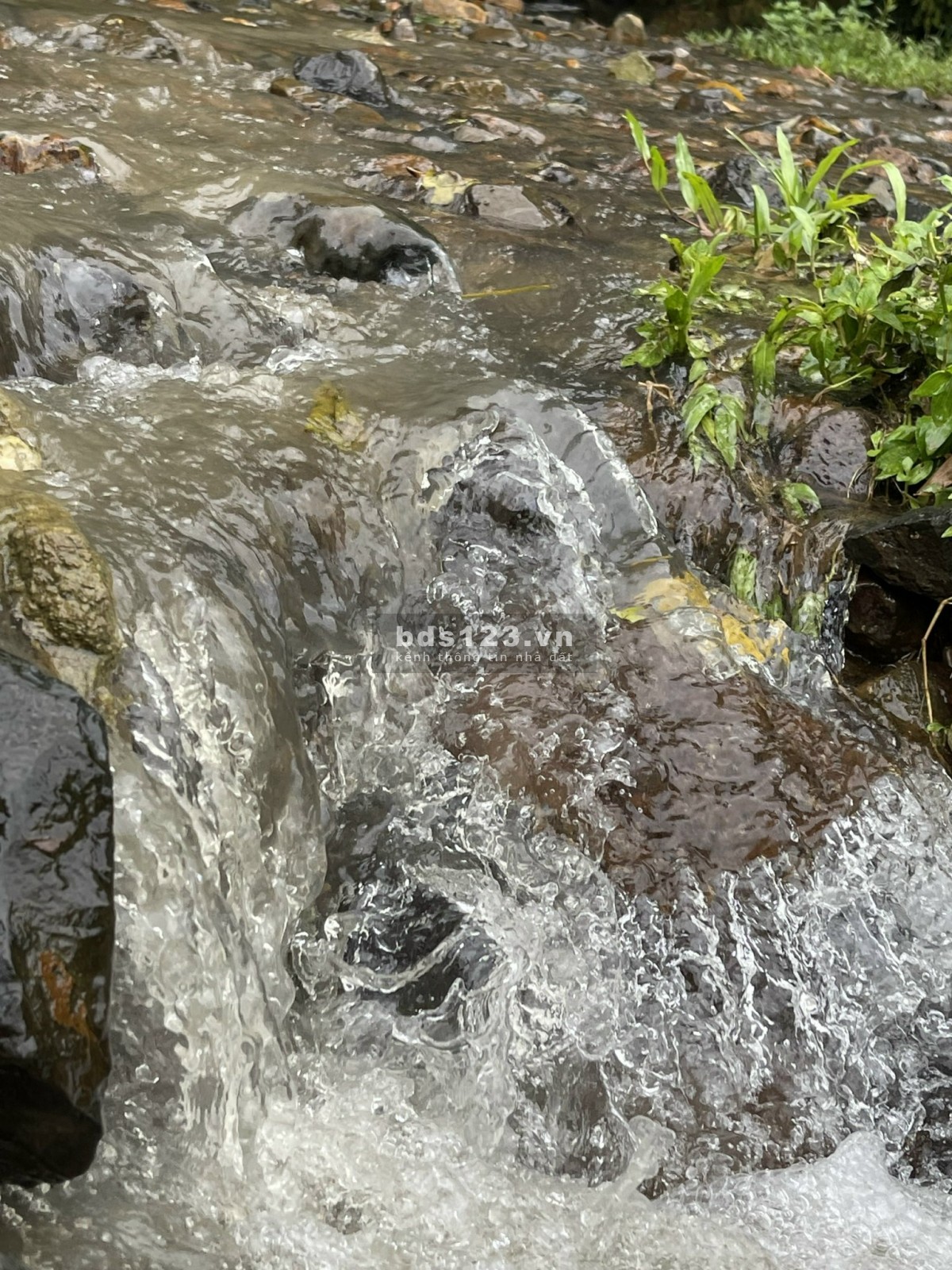 Bán đất Cao Phong, Hòa Bình diện tích 1374m2 bao sang tên