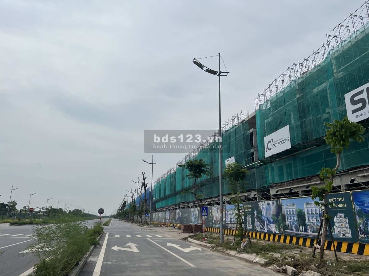 Bán biệt thự đơn lập dự án Avenue Garden Tây Thăng Long, DT 250m² x 3,5 tầng, giá 150 triệu/m²