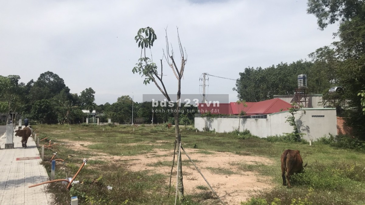 Đất full thổ cư xã Tân An Hội, sổ hồng riêng công chứng ngay