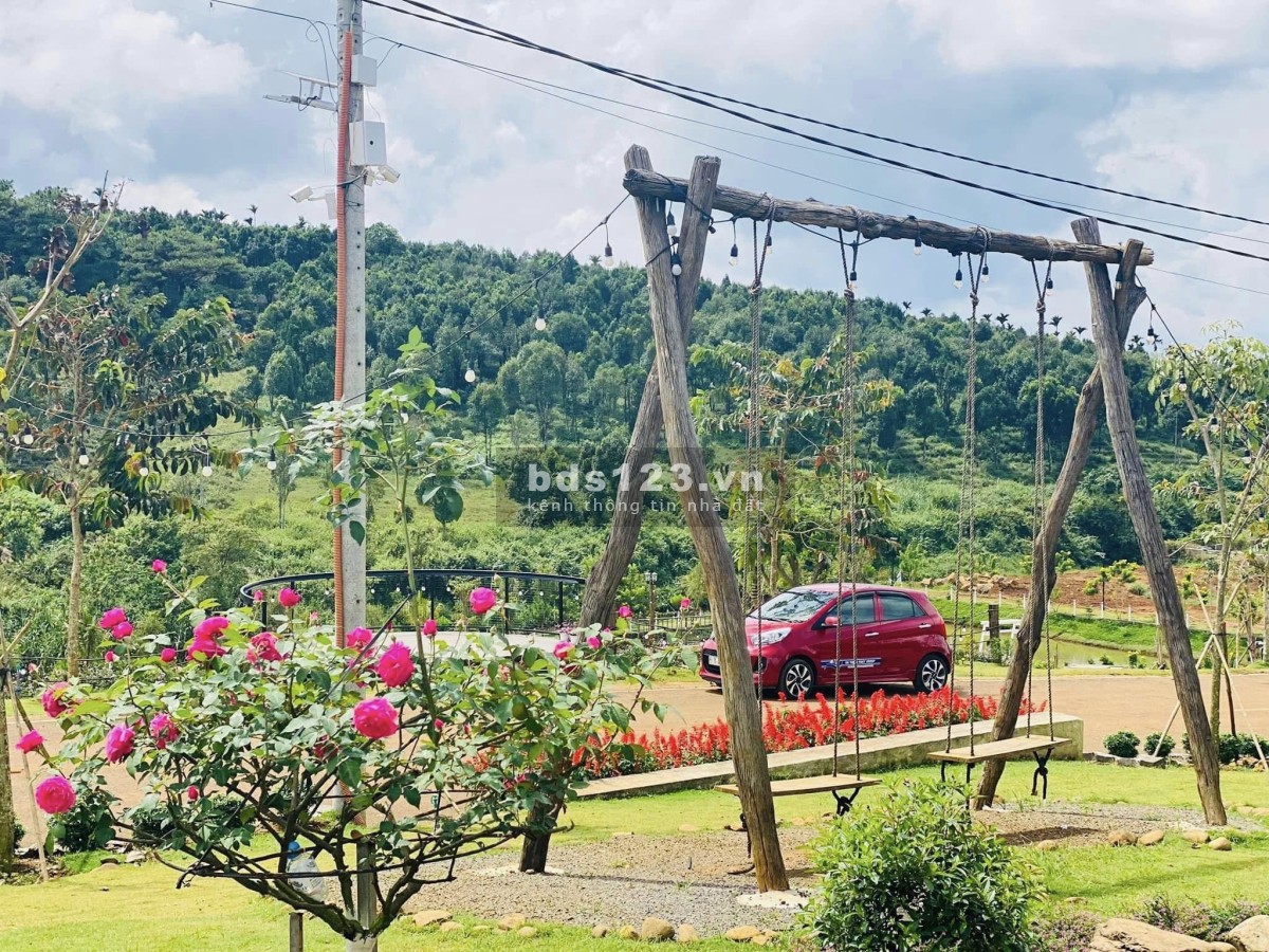 Bán căn Homestay view hồ ở Bảo Lộc, hiện đang cho khách thuê 500k/ngày