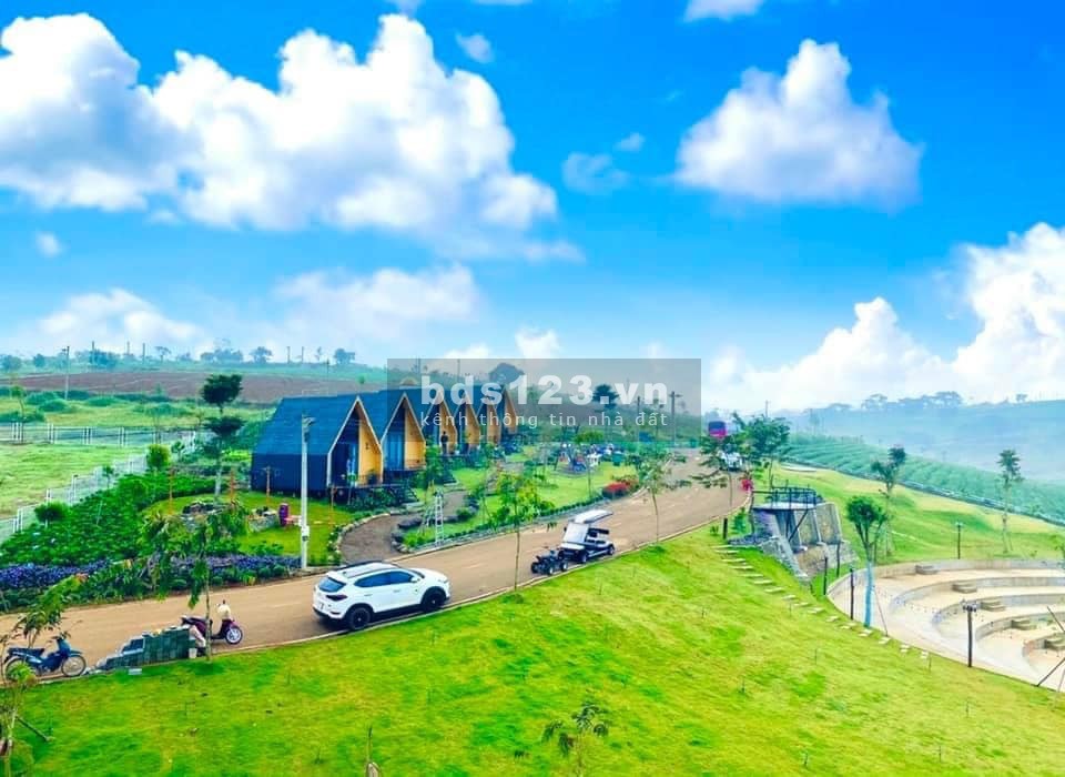 Bán căn Homestay view hồ ở Bảo Lộc, hiện đang cho khách thuê 500k/ngày